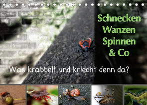 Schnecken, Wanzen, Spinnen und Co…Was krabbelt und kriecht denn da? (Tischkalender 2022 DIN A5 quer) von Brinker,  Sabine