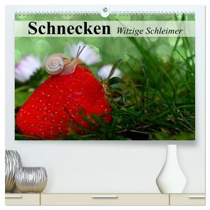 Schnecken. Witzige Schleimer (hochwertiger Premium Wandkalender 2024 DIN A2 quer), Kunstdruck in Hochglanz von Stanzer,  Elisabeth