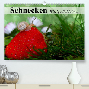 Schnecken. Witzige Schleimer (Premium, hochwertiger DIN A2 Wandkalender 2022, Kunstdruck in Hochglanz) von Stanzer,  Elisabeth