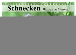 Schnecken. Witzige Schleimer (Tischkalender 2024 DIN A5 quer), CALVENDO Monatskalender von Stanzer,  Elisabeth