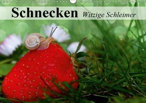 Schnecken. Witzige Schleimer (Wandkalender 2019 DIN A3 quer) von Stanzer,  Elisabeth