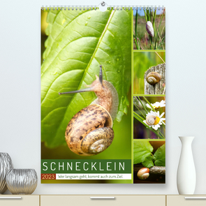 Schnecklein (Premium, hochwertiger DIN A2 Wandkalender 2023, Kunstdruck in Hochglanz) von Löwer,  Sabine