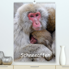 Schneeaffen im Portträt (Premium, hochwertiger DIN A2 Wandkalender 2022, Kunstdruck in Hochglanz) von Jürs,  Thorsten