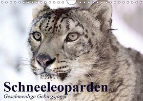 Schneeleoparden. Geschmeidige Gebirgsjäger (Wandkalender 2019 DIN A4 quer) von Stanzer,  Elisabeth
