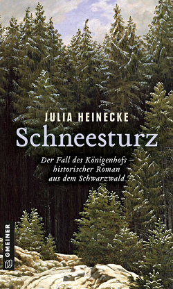 Schneesturz – Der Fall des Königenhofs von Heinecke,  Julia