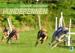 Schnell, schneller – Hunderennen (Wandkalender 2018 DIN A2 quer) von CALVENDO