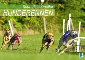 Schnell, schneller – Hunderennen (Wandkalender 2018 DIN A3 quer) von CALVENDO