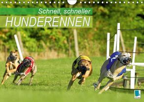 Schnell, schneller – Hunderennen (Wandkalender 2019 DIN A4 quer) von CALVENDO