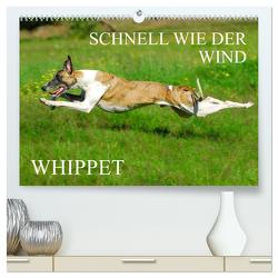 Schnell wie der Wind – Whippet (hochwertiger Premium Wandkalender 2024 DIN A2 quer), Kunstdruck in Hochglanz von Starick,  Sigrid