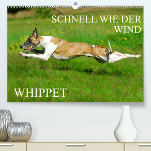 Schnell wie der Wind – Whippet (Premium, hochwertiger DIN A2 Wandkalender 2022, Kunstdruck in Hochglanz) von Starick,  Sigrid
