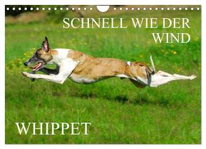 Schnell wie der Wind – Whippet (Wandkalender 2024 DIN A4 quer), CALVENDO Monatskalender von Starick,  Sigrid
