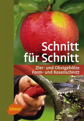 Schnitt für Schnitt von Beltz,  Heinrich, Großmann,  Gerd, Hübscher,  Heiko, Pirc,  Dr. Helmut