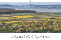 Schönbuch Impressionen 2019 von Schaal,  Werner