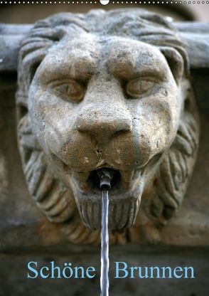 Schöne Brunnen (Wandkalender 2018 DIN A2 hoch) von Berg,  Martina