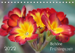 Schöne Frühlingszeit (Tischkalender 2022 DIN A5 quer) von Mahrhofer,  Verena
