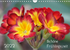 Schöne Frühlingszeit (Wandkalender 2022 DIN A4 quer) von Mahrhofer,  Verena