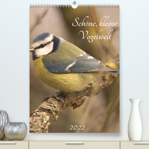 Schöne, kleine Vogelwelt (Premium, hochwertiger DIN A2 Wandkalender 2022, Kunstdruck in Hochglanz) von Andreas Lederle,  Kevin