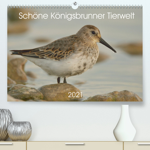 Schöne Königsbrunner Tierwelt (Premium, hochwertiger DIN A2 Wandkalender 2021, Kunstdruck in Hochglanz) von Andreas Lederle,  Kevin