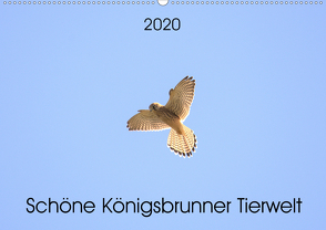 Schöne Königsbrunner Tierwelt (Wandkalender 2020 DIN A2 quer) von Andreas Lederle,  Kevin