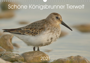 Schöne Königsbrunner Tierwelt (Wandkalender 2021 DIN A3 quer) von Andreas Lederle,  Kevin