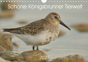 Schöne Königsbrunner Tierwelt (Wandkalender 2021 DIN A4 quer) von Andreas Lederle,  Kevin
