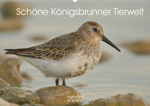 Schöne Königsbrunner Tierwelt (Wandkalender 2022 DIN A2 quer) von Andreas Lederle,  Kevin