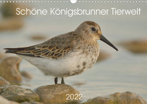 Schöne Königsbrunner Tierwelt (Wandkalender 2022 DIN A3 quer) von Andreas Lederle,  Kevin