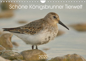 Schöne Königsbrunner Tierwelt (Wandkalender 2022 DIN A4 quer) von Andreas Lederle,  Kevin