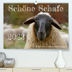 Schöne Schafe (Premium, hochwertiger DIN A2 Wandkalender 2023, Kunstdruck in Hochglanz) von Kelle-Dingel,  Cordula