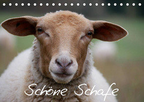 Schöne Schafe (Tischkalender 2022 DIN A5 quer) von Kelle-Dingel,  Cordula