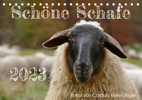 Schöne Schafe (Tischkalender 2023 DIN A5 quer) von Kelle-Dingel,  Cordula