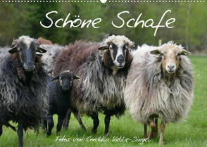 Schöne Schafe (Wandkalender 2022 DIN A2 quer) von Kelle-Dingel,  Cordula