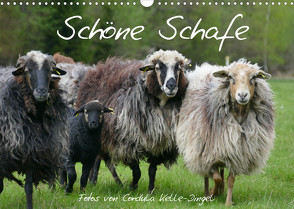 Schöne Schafe (Wandkalender 2022 DIN A3 quer) von Kelle-Dingel,  Cordula