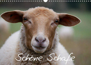 Schöne Schafe (Wandkalender 2022 DIN A3 quer) von Kelle-Dingel,  Cordula