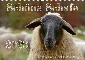 Schöne Schafe (Wandkalender 2023 DIN A2 quer) von Kelle-Dingel,  Cordula
