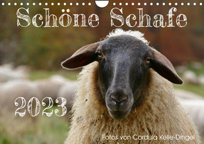 Schöne Schafe (Wandkalender 2023 DIN A4 quer) von Kelle-Dingel,  Cordula