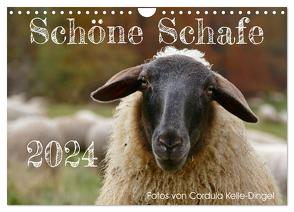 Schöne Schafe (Wandkalender 2024 DIN A4 quer), CALVENDO Monatskalender von Kelle-Dingel,  Cordula