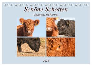 Schöne Schotten – Galloway im Porträt (Tischkalender 2024 DIN A5 quer), CALVENDO Monatskalender von Bölts,  Meike