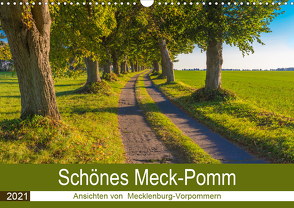 Schönes Meck-Pomm (Wandkalender 2021 DIN A3 quer) von Smith,  Sidney