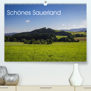 Schönes Sauerland (Premium, hochwertiger DIN A2 Wandkalender 2021, Kunstdruck in Hochglanz) von Rein,  Simone