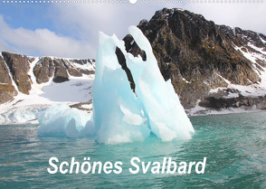 Schönes Svalbard (Wandkalender 2023 DIN A2 quer) von Springer,  Heike