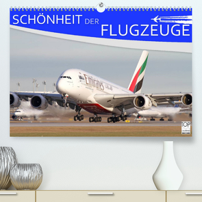 Schönheit der Flugzeuge (Premium, hochwertiger DIN A2 Wandkalender 2022, Kunstdruck in Hochglanz) von Philipp,  Daniel