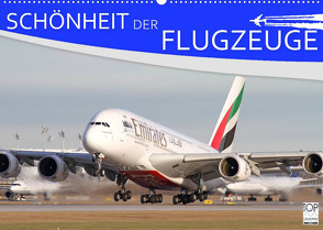 Schönheit der Flugzeuge (Wandkalender 2022 DIN A2 quer) von Philipp,  Daniel