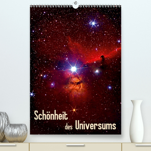 Schönheit des Universums (Premium, hochwertiger DIN A2 Wandkalender 2021, Kunstdruck in Hochglanz) von MonarchC
