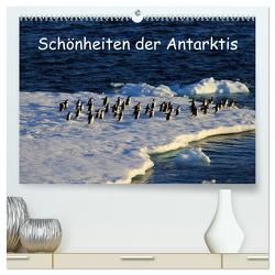 Schönheiten der Antarktis (hochwertiger Premium Wandkalender 2024 DIN A2 quer), Kunstdruck in Hochglanz von FotografieKontor Bildschoen: Ute Löffler,  Utes