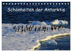 Schönheiten der Antarktis (Tischkalender 2024 DIN A5 quer), CALVENDO Monatskalender von FotografieKontor Bildschoen: Ute Löffler,  Utes