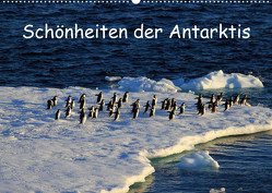 Schönheiten der Antarktis (Wandkalender 2023 DIN A2 quer) von FotografieKontor Bildschoen: Ute Löffler,  Utes