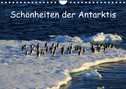 Schönheiten der Antarktis (Wandkalender 2023 DIN A4 quer) von FotografieKontor Bildschoen: Ute Löffler,  Utes