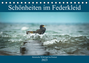 Schönheiten im Federkleid – Heimische Wildvögel im Portrait (Tischkalender 2023 DIN A5 quer) von Grahneis,  Sabine