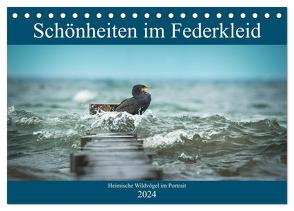Schönheiten im Federkleid – Heimische Wildvögel im Portrait (Tischkalender 2024 DIN A5 quer), CALVENDO Monatskalender von Grahneis,  Sabine